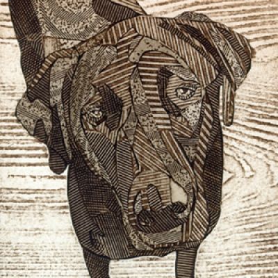 Collagraph using corrugated card etc Collagraph Printmaking Ideas, Cardboard Portraits, Collagraph Printing, Linoleum Prints, Collagraph Printmaking, Collagraphy, Labrador Retriever Art, Printmaking Ideas, Jeans Art