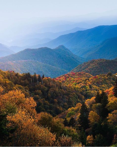 null Boone Nc, Outdoor Photos, Gods Creation, Blue Ridge Mountains, Asheville Nc, In The Mountains, Blue Ridge, Time Of The Year, The South