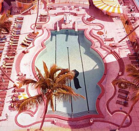 Retro Pink Pool, Miami. #miami #retro #pool #pink Miami Pool, Pink Hotel, Hotel Swimming Pool, Living Vintage, Hotel Pool, Tickled Pink, Everything Pink, Vintage Modern, New Wall