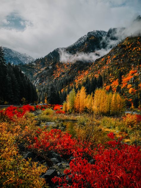 Fall Leaves Mountains, Fall In The Woods, Fall Foliage Washington State, Forest In The Fall, Pacific Northwest Fall, Pnw Fall Aesthetic, Leavenworth Washington Fall, Oregon In The Fall, Autumn Photography Nature Landscapes