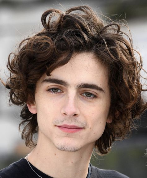 Timothee Chalamet Hairstyle, Long Hairstyle, Timmy T, Celebrity Look Alike, Athletic Hairstyles, Little Women, Curly Hair Men, Hair Reference, Timothee Chalamet