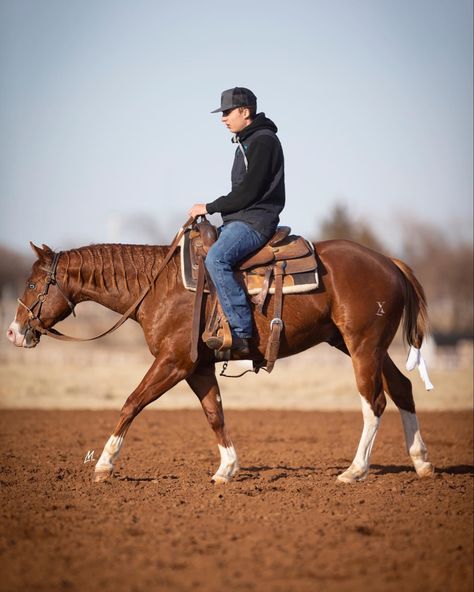 Reigning Horses, Western Pleasure Riding, Quater Horses, Horse Disciplines, Working Cow Horse, Aqha Horses, Ranch Riding, Western Horses, Horse Coat Colors