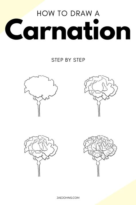 How To Draw A Carnation Flower, Carnation Painting Easy, How To Draw A Carnation Step By Step, Easy Carnation Drawing, How To Draw Carnations Step By Step, Carnation Flower Drawing Step By Step, Carnation Illustration Simple, How To Draw Carnations, How To Draw A Carnation