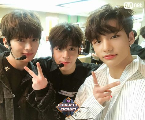 Stray Kids - MinHo, SeungMin e HyunJin Hyunjin And In, Kids Fans, Celebrity Look Alike, Kids Groups, Body Picture, Youtube Kids, Stray Kids Seungmin, Homeless Children, Kids Icon