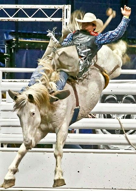 Saddle Bronc Riding, Cowboy Draw, Pbr Bull Riding, Bareback Riding, Saddle Bronc, Horse Competition, Bucking Bulls, Bronc Riding, Rodeo Time