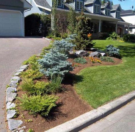 Gravel Driveway Landscaping, Cottage Front Yard, Driveway Entrance Landscaping, Gravel Landscaping, Landscape Lighting Design, Driveway Entrance, Driveway Design, Driveway Landscaping, Small Shrubs