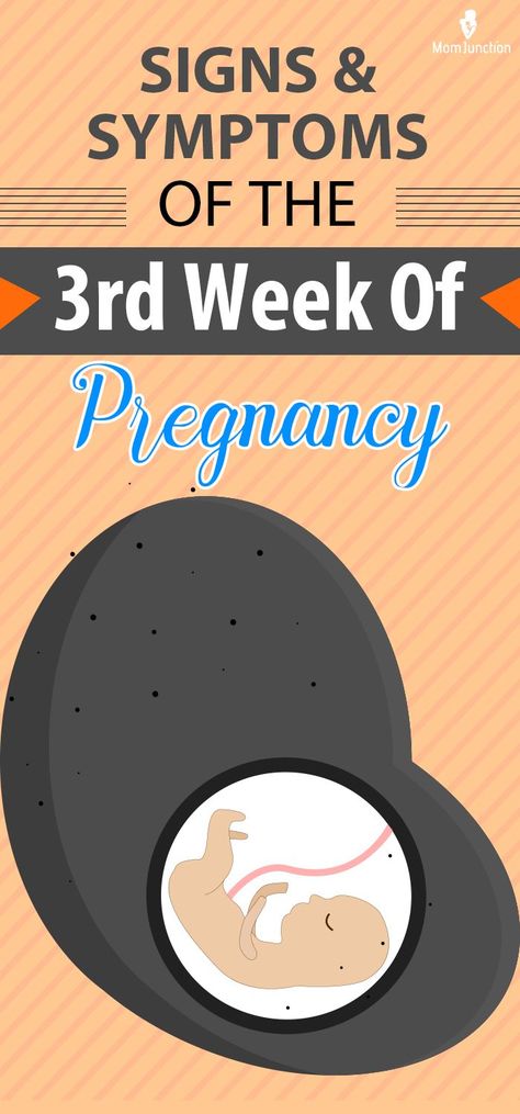 The 3rd-week pregnancy symptoms may seem faint or barely noticeable to some mothers. Despite that, it is one of the crucial phases of pregnancy. It is when the fetus begins to develop the neural tube, which leads to the formation of the nervous system eventually. Week 3 Pregnancy Symptoms, Stages Of Pregnancy Weekly, 3 Weeks Pregnant Symptoms, Three Weeks Pregnant, 3rd Month Pregnancy, Very Early Pregnancy Signs, 2 Weeks Pregnant, Pregnancy Symptoms By Week, 3 Weeks Pregnant