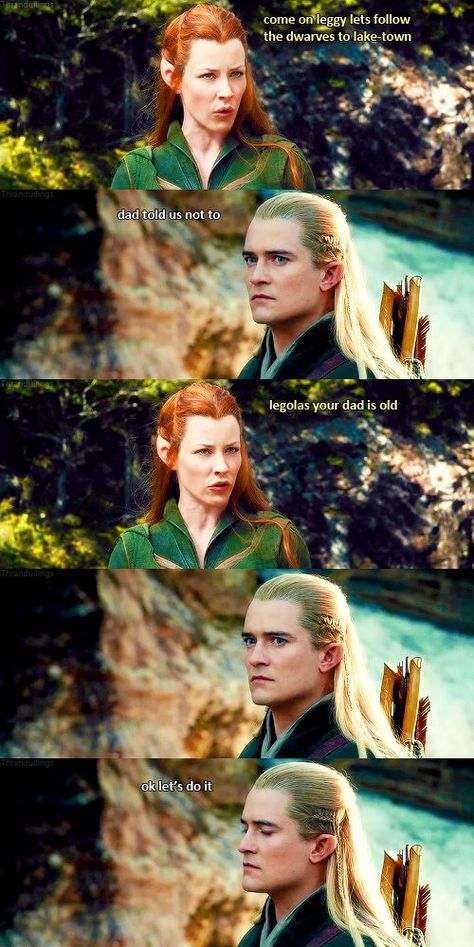 Legolas X Tauriel, Hobbit Funny, Legolas And Thranduil, Lotr Funny, Into The West, Desolation Of Smaug, Tauriel, The Shire, Thranduil