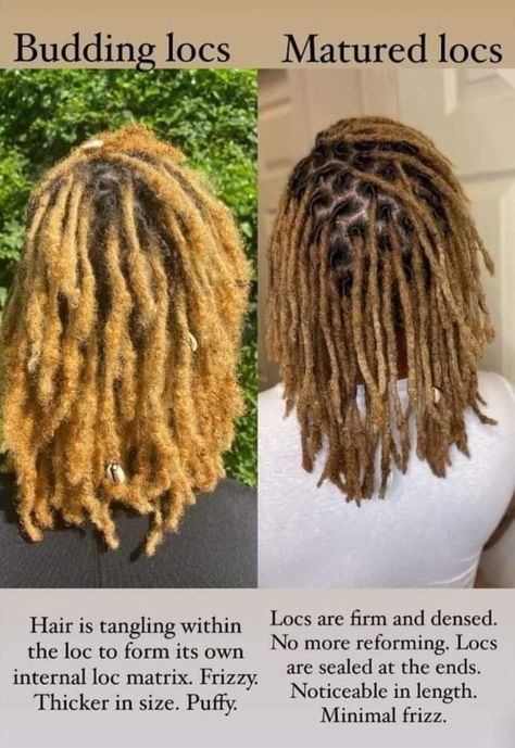 Ftm Hairstyles, Hairstyles Dreadlocks, Dreadlocks Hair Care, Dreadlock Maintenance, Loc Care, Dreads Care, Short Locs, Loc Hairstyles, Sister Locs