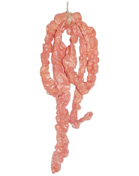 Intestines Halloween Yard Props, Dekorasi Halloween, Halloween Costume Store, Halloween Props Diy, Halloween Prop, Halloween Pins, Halloween 2015, Zombie Halloween, Easy Diy Halloween