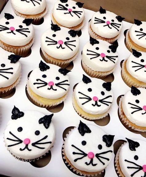 Cat/kitten cupcakes Cat Birthday Party Cupcakes, Cat Cake For Girls Birthday, Cupcake Cat Cake, Cat Themed Cupcake Ideas, Cat Party Cupcakes, Kitty Cat Cupcakes Ideas, Kitty Cupcake Cake, Cat Themed Birthday Cupcakes, Kitty Cat Cake Ideas