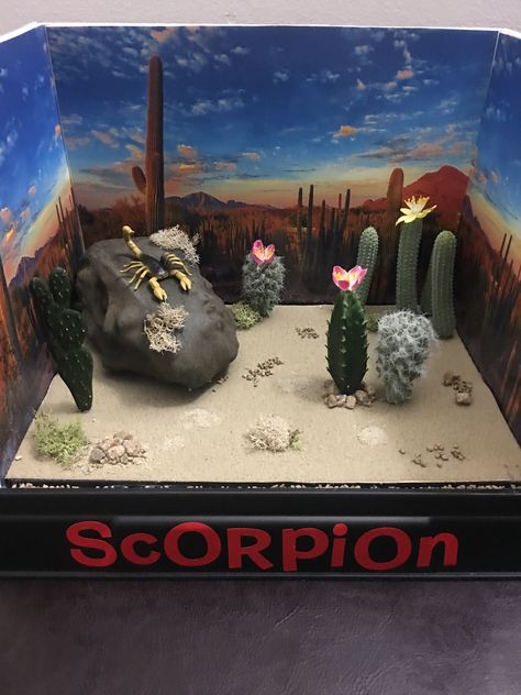 Scorpion Habitat / Desert Diorama Scorpion Habitat Diorama, Desert Habitat Diorama, Desert Habitat Project, Scorpion Habitat, Shoebox Habitat, School Diorama, Ecosystem Project, Habitat Diorama, Homework Inspiration