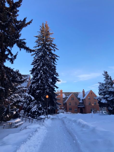 Evergreen State College, Montana State University Dorm, University Of Wyoming Aesthetic, Montana State University Aesthetic, Colorado State University Aesthetic, Montana In Winter, Devney Perry Aesthetic, Knox Eden, Memphis Ward