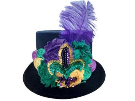 Madi Gras Outfit Ideas, Mardi Gras Attire, Mardi Gras Hats, Mardi Gras Diy, Bead Bra, Mardi Gras Float, Newborn Photos Boy, Mardi Gras Parade, Mardi Gras Costumes