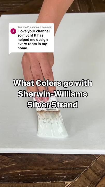 Haley on TikTok Silver Strand Paint, Sherwin Williams Silver Strand, Office Paint Colors, Paint Sheen, My Calendar, Silver Strand, Colour Consultant, Paint Color Inspiration, Favorite Paint Colors