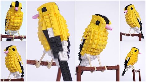 Lego Bird, North American Birds, American Birds, American Goldfinch, Lego Kits, Lego Club, Lego Sculptures, Lego Animals, Hama Beads Minecraft