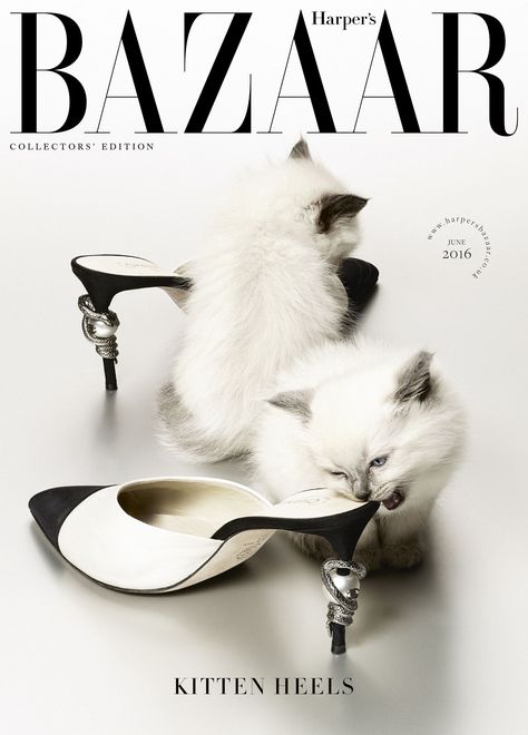 And finally…- HarpersBAZAARUK Bazaar Poster, Harper Bazaar, Harpers Bazaar Covers, Popular Art, Portrait Sketches, Harper’s Bazaar, Harpers Bazaar, Exhibition Poster, Karl Lagerfeld