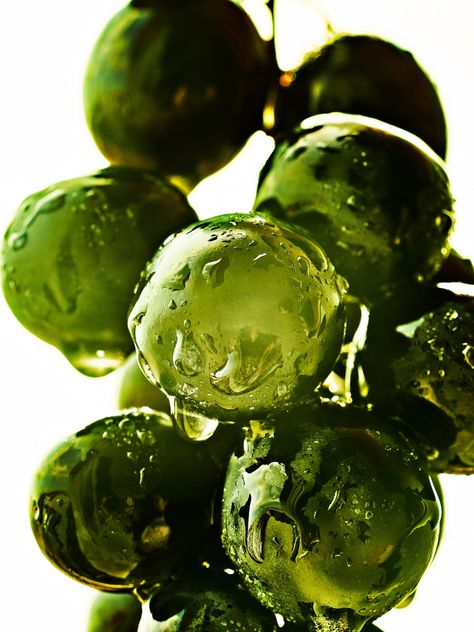 Green - Fernando Gómez - Photographer Beauty Still Life, Gold Wallpaper Phone, Smart Farm, Coffee Body Scrub, Perfume Photography, Fragrance Ingredients, Still Life Fruit, Food Photography Inspiration, Green Fruit