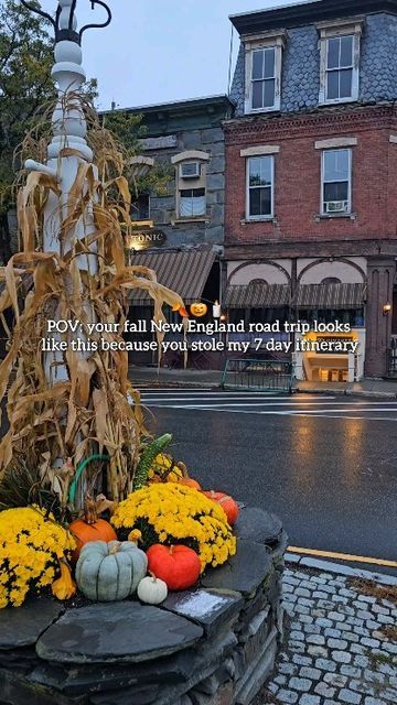 Britny McKibben on Instagram: "Steal my fall New England itinerary for Vermont and New Hampshire 🍂. We started our trip in southern, VT and you can always switch things around. I created this to have a good balance of visiting charming towns and to be outside in nature.   Day 1 Manchester, VT- visit covered bridges, Northshire bookstore, the Dutton Farmstand, The Lincoln Family Home, take scenic drive through the Green Mountains  Day 2 Woodstock, VT- Sugarbush Farms, Billings Farm and Museum, Mon Vert Cafe, Woodstock Inn and Resort, Quechee Gorge, Mont Tom trail   Day 3 Stowe, VT- historic downtown, gondola ride, Trapp Family Lodge, Cold Hollow Cider Mill, Smuggles Notch State Park   Day 4- scenic drive to Dixville Notch, New Hampshire and do the table rock hike. Explore Dixville Notch St New England Bookstore, England Bookstore, Northshire Bookstore, New England Itinerary, England Itinerary, Nature Day, Manchester Vt, Woodstock Vt, Cider Mill