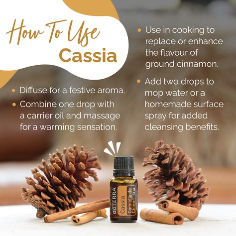 Cassia is a great oil for the winter months because of its warm, cinnamon-like aroma. Here are some ways you can use this oil in your own home. Give it a try and tell me what you think! Cassia Essential Oil, Spa Time, Essential Oil Diffuser Blends Recipes, Cinnamon Essential Oil, Ceylon Cinnamon, Essential Oil Diffuser Blends, Oil Diffuser Blends, Essential Oil Uses, Oil Uses