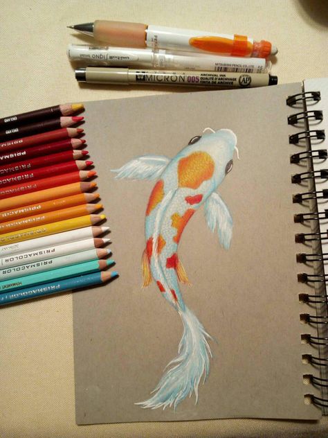 I used prismacolor pencils, derwent coloursoft, caran d'ache pablo pencils, faber castell polychromos and a uniball white gel pen. Also I used a pigma m... Koi fish drawing Derwent Coloursoft, Prismacolor Drawing, Koi Fish Drawing, Fish Drawing, Prismacolor Art, Faber Castell Polychromos, Colored Pencil Artwork, Fish Drawings, White Gel Pen