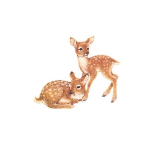 Deer Drawing, Deer Art, Baby Deer, Woodland Creatures, Wildlife Art, 귀여운 동물, Woodland Animals, Spirit Animal, Cute Icons