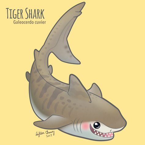 Tiger Shark | ILLUSTRATION Sharks Illustration, Shark Illustration, Shark Art, Tiger Shark, Illustrations Art, Graphic Design Photography, Like Animals, Ocean Art, Custom Illustration