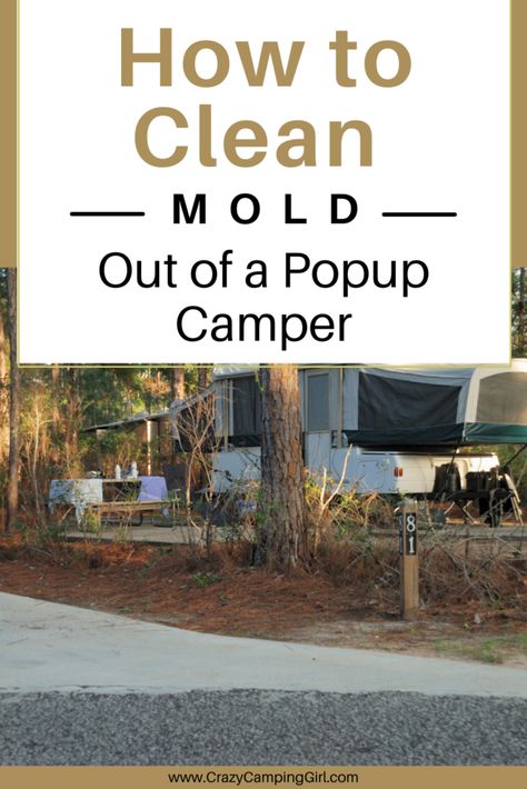 How to Clean Mold Out of a Pop up Camper? Mold can be a nightmare for anyone, and it’s even worse when you have to clean it out of your popup camper. Cleaning mold from this type of camper is actually quite easy though. If you are not sure how to get rid of mold from a popup camper, then this article is for you! #camping #popupcamper #cleaningyourcamper #mold Camper Cleaning, Camper Revamp, Rv Cleaning, Pop Up Campers, Popup Camper Remodel, Pop Up Tent Trailer, Camping Girl, Glamper Camper, Pop Up Trailer