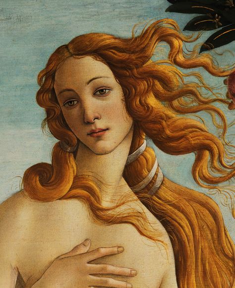 Botticelli Art, Botticelli Paintings, Venus Painting, Venus Art, Birth Of Venus, Sandro Botticelli, Uffizi Gallery, Rennaissance Art, Historical Art