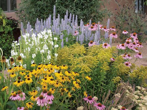 Summer Dreams is a pre-planned garden that thrives on little water once established. Low Water Landscaping, High Country Gardens, Flower Garden Design, Longwood Gardens, Have Inspiration, Pollinator Garden, The Secret Garden, Garden Cottage, Summer Dream