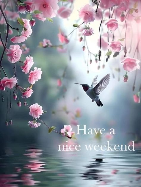 Happy Weekend Images, Friday Inspirational Quotes, Hello Weekend, Enjoy Your Weekend, Have A Great Weekend, Weekend Fun, Sister Love, Morning Wish, Good Morning Wishes