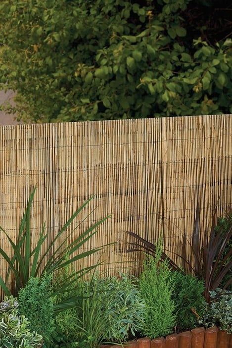 Ferns Along Fence, Garden With Bamboo Fence, Reed Fencing Ideas, Bamboo Garden Fence, Bamboo Fence Ideas, Bamboo Screen Garden, Natural Fencing, Bamboo Screening Fence, Rustic Fences