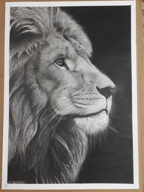 Lion Side Profile Drawing, Lion Side Profile, Drawing Side Profile, Lion Profile, Side Profile Drawing, Tattoo Side, Lion Art Tattoo, Profile Drawing, Lion Drawing