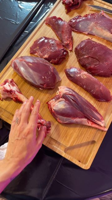 Allie D'Andrea on Instagram: "Every cut from the hind quarter of a deer, explained!" Hunting Recipes, Leg Quarters, Deer Meat, A Deer, Sea Food, Seafood, Deer, Hunting, Meat