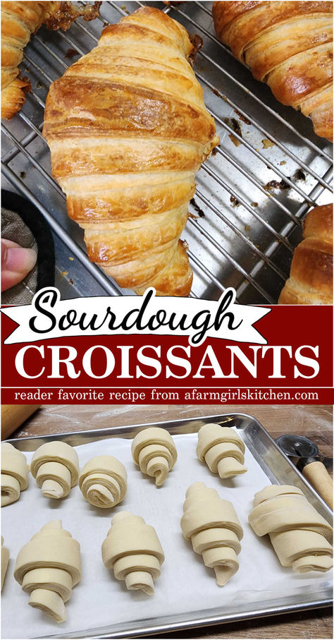 Sourdough Croissant Recipe Sourdough Croissant, Sourdough Pastry, Sourdough Croissants, Make Croissants, Croissants Recipe, European Butter, Croissant Recipe, Pastry Dough, Sourdough Recipes