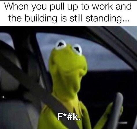 23 Funny Work Memes to Look at Instead of Working - Funny Gallery Funny Kermit Memes, Kermit Funny, Super Funny Memes, 9gag Funny, Humor Mexicano, Funny Tumblr Posts, Work Memes, Memes Humor, Memes Kpop