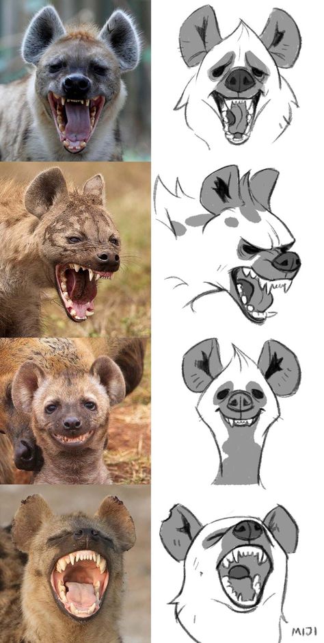 Hyena Illustration, African Ornaments, Comic Making, Drawing Advice, Unusual Animal Friendships, Animal Friendships, Epic Drawings, Reference Art, 강아지 그림