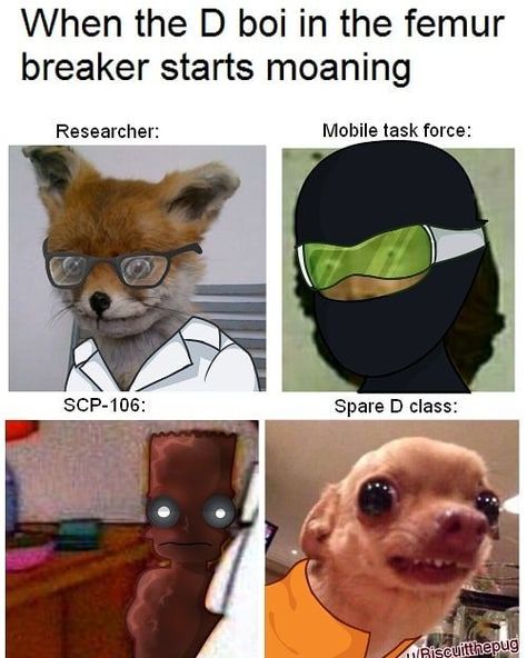 Scp Foundation Memes, Scp Documents, Scp 49, Scp 106, Dr. Bright, Scp 049, Super Funny Pictures, Scp Foundation, Roblox Memes