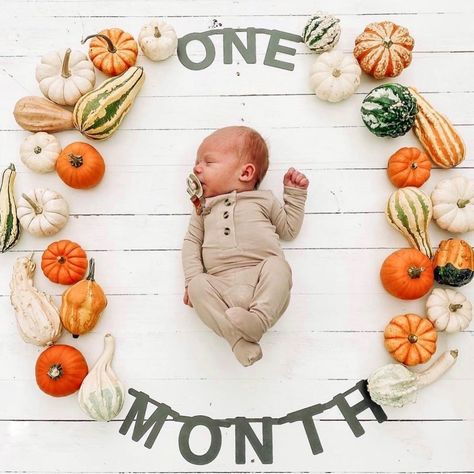 Baby Milestone Photos, Baby Boy Photography, Lou Lou, Baby Makes, Fall Baby, Maybe One Day, Baby Life, Baby Milestones, Cuteness Overload