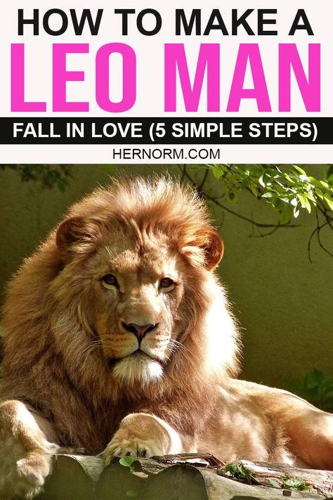 Leo men are some of the most expressive, generous lovers out there. Find out how you can make your Leo Man fall deeply in love with you with these 5 simple but effective ways. Click to read more! Leo Man In Love, Leo Man, Couples Recipes, Boyfriend Advice, Romantic Gifts For Him, Deeply In Love, Leo Love, Romantic Relationship, Best Relationship Advice