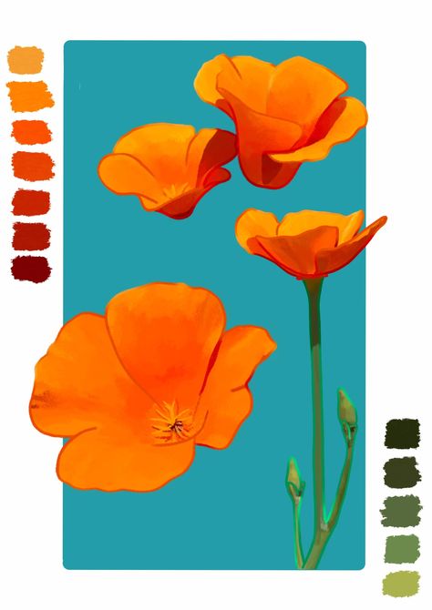 California Poppy Drawing, Poppies Illustration, California State Flower, California Poppy Art, Poppy Flower Painting, Poppy Decor, Digital Sketchbook, California Wildflowers, Poppy Wall Art