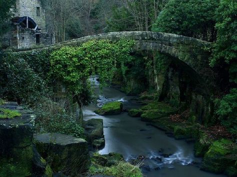 Stone bridge in Melbourne Australia  My Heart aches for this beauty Old Bridges, Bridge Over Troubled Water, Stone Bridge, Old Stone, Covered Bridges, Magical Places, In The Forest, Melbourne Australia, Lush Green