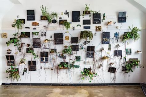 'The World After Us' explores the afterlife of our tech Waste Art, E Waste Recycling, Wisconsin Art, Electronic Waste, E Waste, Recycling Programs, Reusable Bottle, Plastic Waste, British Artist