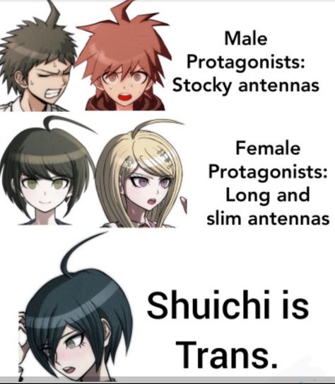 Makoto Naegi, Danganronpa Funny, Danganronpa 1, Danganronpa Memes, Trigger Happy Havoc, Female Protagonist, Nagito Komaeda, Danganronpa 3, 5 Anime