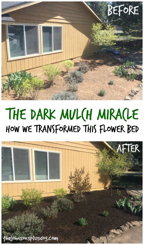 the dark mulch miracle Flower Beds Diy, Diy Flower Bed, Bed Transformation, High Desert Landscaping, Curb Appeal Ideas, Simple Front Yard, Mulch Landscaping, Easy Landscaping, Front Yard Landscaping Simple