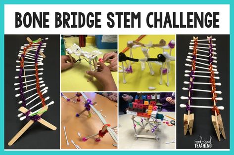 The Bone Bridge STEM Challenge is a perfect fit for your Halloween activities because it’s fun with substance! In this challenge, students build a bridge for length, strength, and/or capacity using cotton swab “bones”. But never fear, if you don’t do Halloween at your school, simply connect this to your content standards and leave all... Bridge Stem Challenge, Fall Stem Challenges, Steam Projects For Kids, Halloween Stem Challenge, Newton's Laws Of Motion, Halloween Teaching, Newton's Laws, The Skeletal System, Laws Of Motion