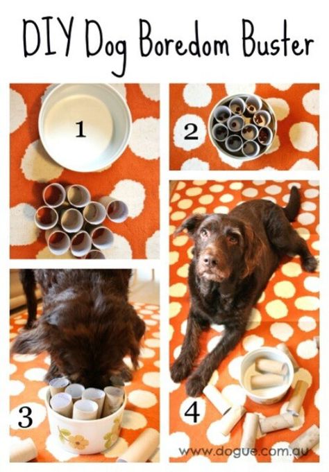 25 Frugally Fun DIY Dog Toys To Pamper Your Pooch - DIY & Crafts Dog Boredom Buster, Dog Boredom, Homemade Dog Toys, Aussie Dog, Diy Dog Toys, Dog Enrichment, Dog Games, Dog Puzzles, Interactive Dog Toys