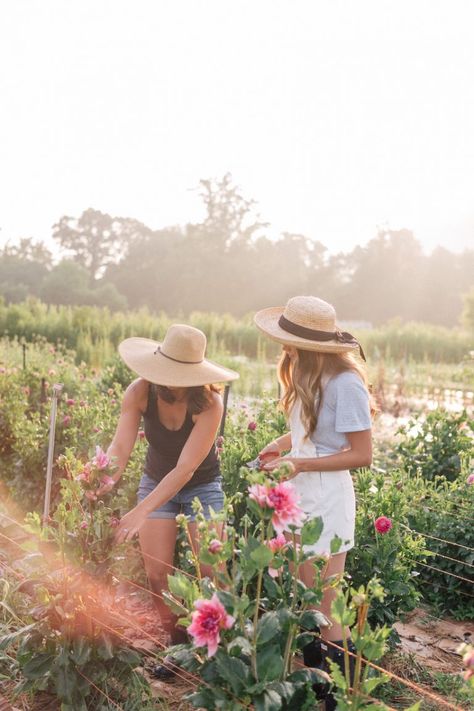 Pick Your Own Flowers Farms, Working In The Garden, Flower Farming, Cut Flower Farm, Farm Lifestyle, Flower Truck, Julia Berolzheimer, Flower Farmer, Cut Flower Garden