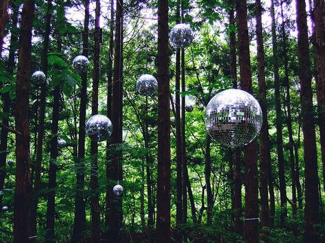 A rotating disco ball in a tree lit with a pin spot light gives a stunning effect. Fuji Rock, Forest Festival, Forest Party, Festival Music, Italo Disco, Rock Festival, Theme Nature, Rock Festivals, Mirror Ball