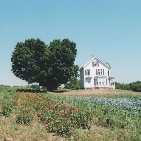 Garden Goals, Stardew Valley, Happy Thoughts, Country Living, Writing Inspiration, Farm Life, Future House, White House, House Exterior